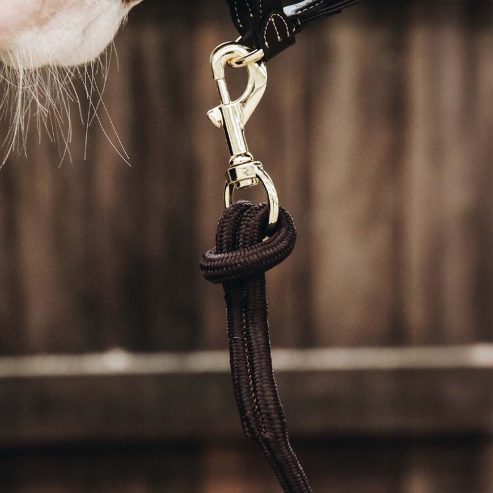 Halster Loop Bruin