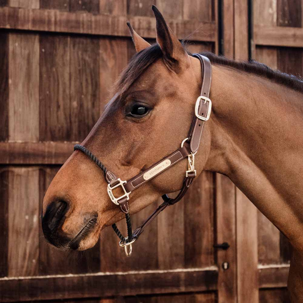 Leren halster Rope Artificial Bruin