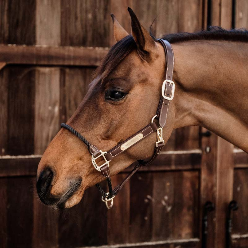Leren halster Rope Artificial Bruin