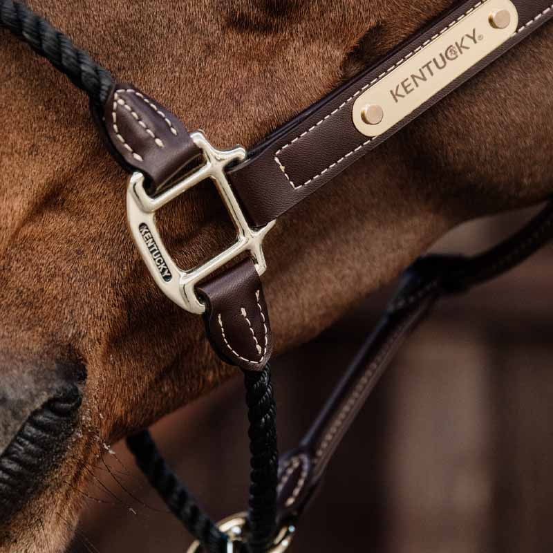 Leren halster Rope Artificial Bruin