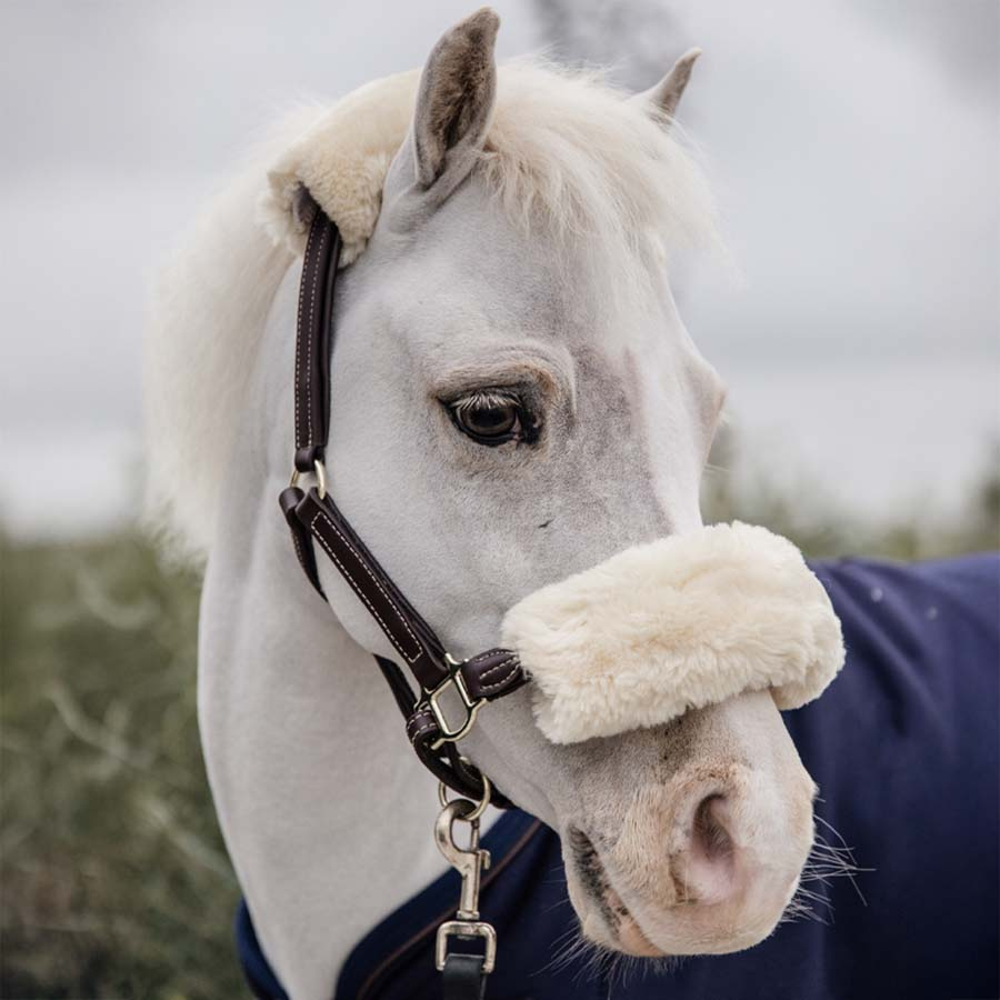 Leren halster Pony Artificial Sheepskin Bruin