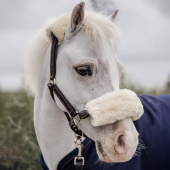Leren halster Pony Artificial Sheepskin Bruin Leren halster Pony Artificial Sheepskin Bruin