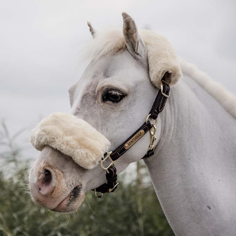 Leren halster Pony Artificial Sheepskin Bruin
