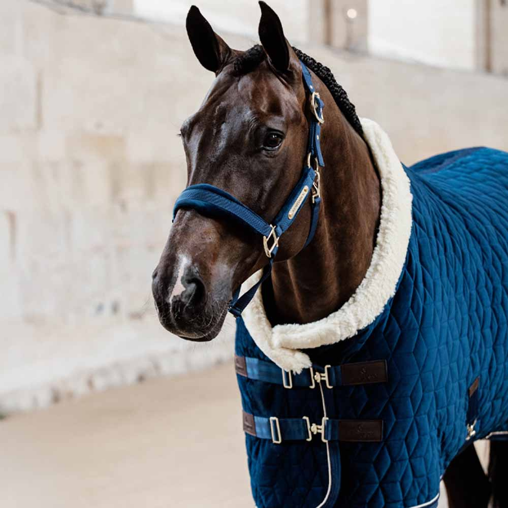 Halster Velvet Marineblauw
