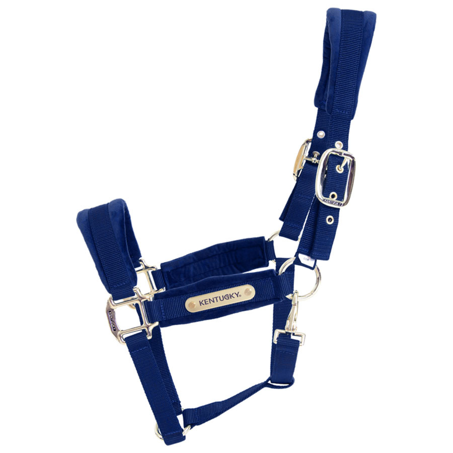 Halster Velvet Marineblauw