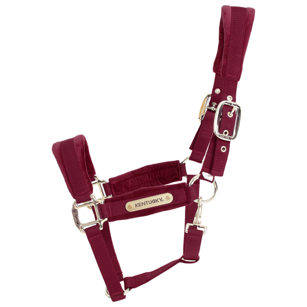 Halster Velvet Bordeaux