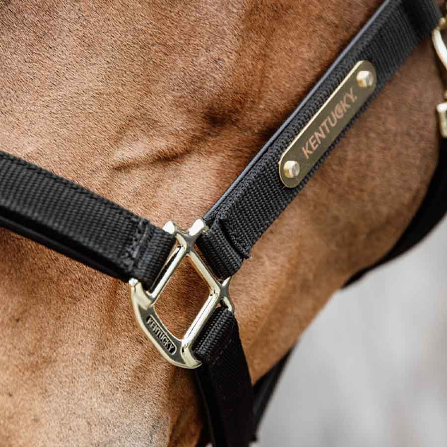 Halster Anatomic Nylon Zwart