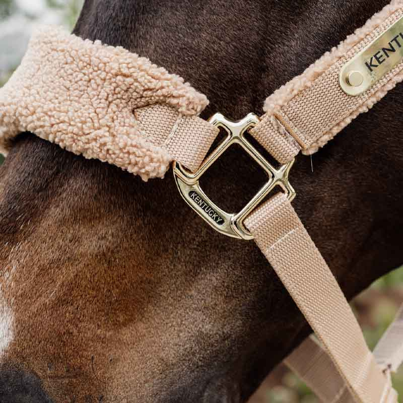 Halster Teddy Fleece Beige