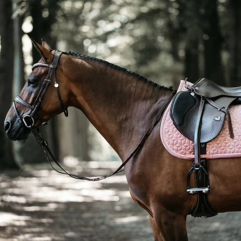 Zadeldekje Velvet Oudroze