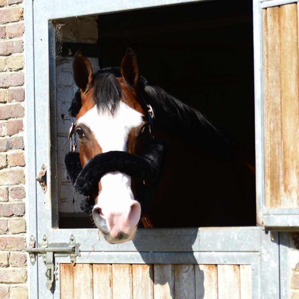 Sheepskin-set voor Halster Zwart