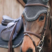 Oornetjes Wellington Stone & Pearl Donkergrijs Oornetjes Wellington Stone & Pearl Donkergrijs