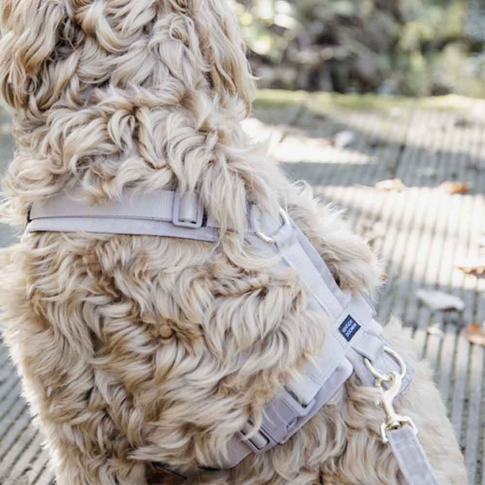 Hondentuig Active Velvet Beige