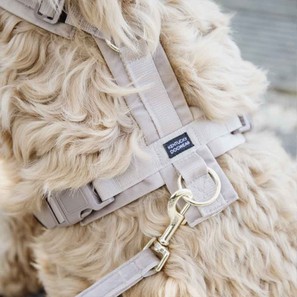 Hondentuig Active Velvet Beige