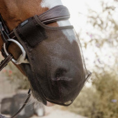 Neusnet Anti Fly Bruin Neusnet Anti Fly Bruin