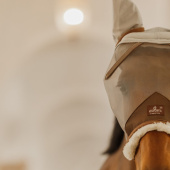 Vliegen oornetje met oren Skin Friendly Zilver Vliegen oornetje met oren Skin Friendly Zilver