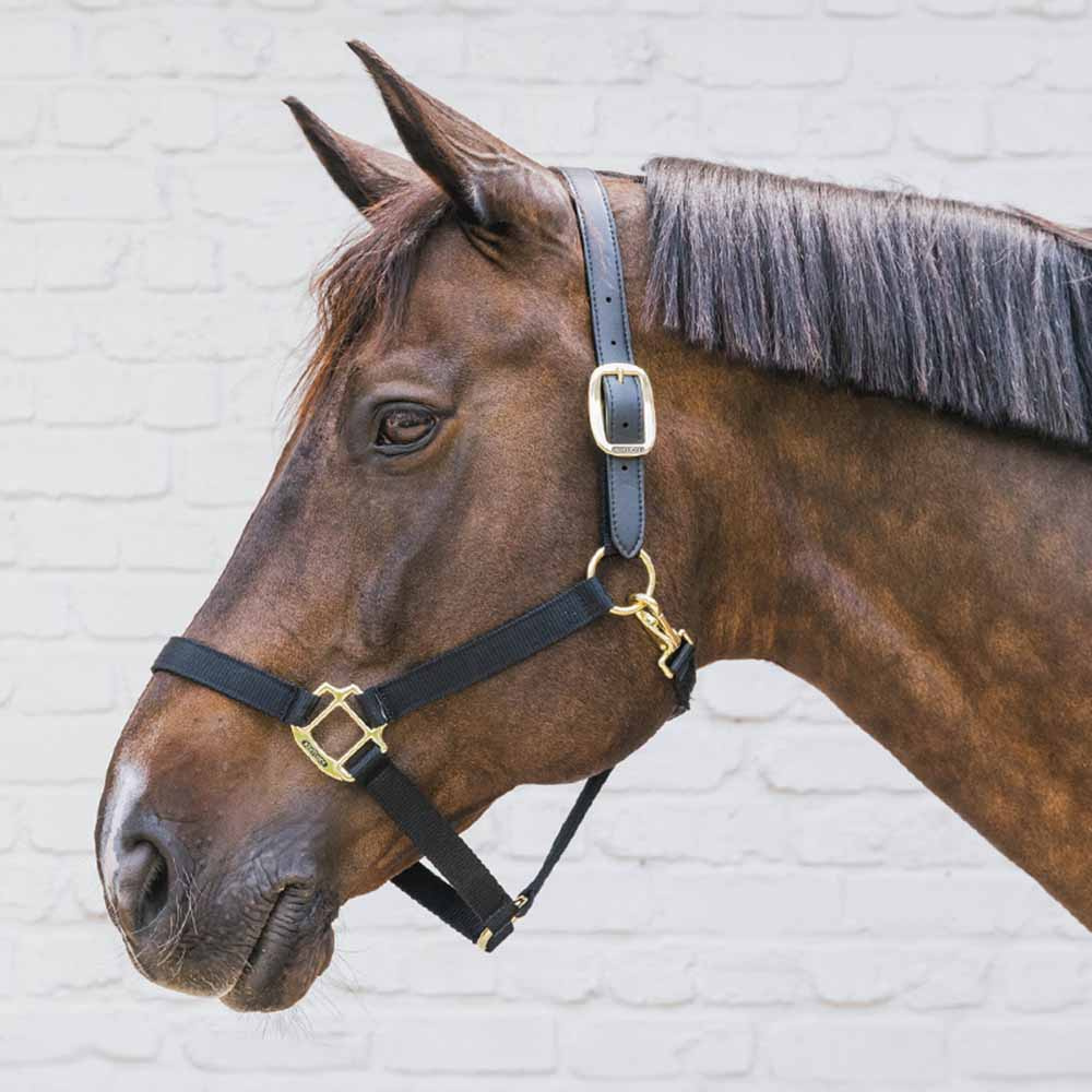 Halster Breakaway Zwart
