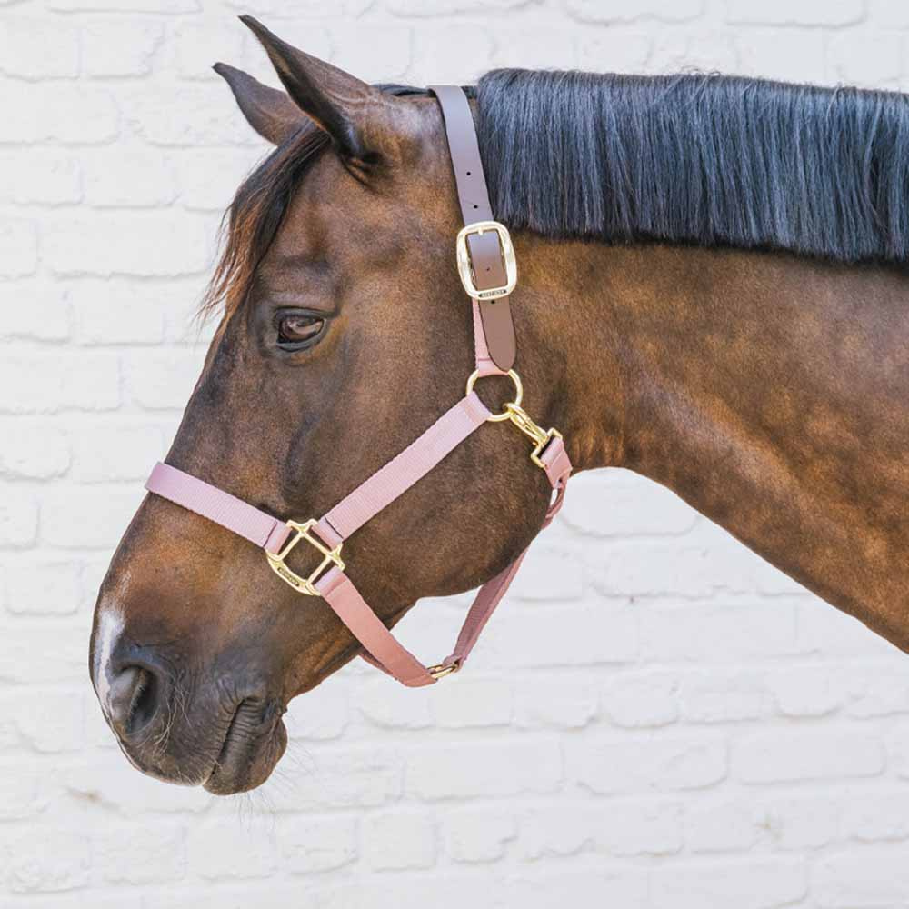 Halster Breakaway Oudroze