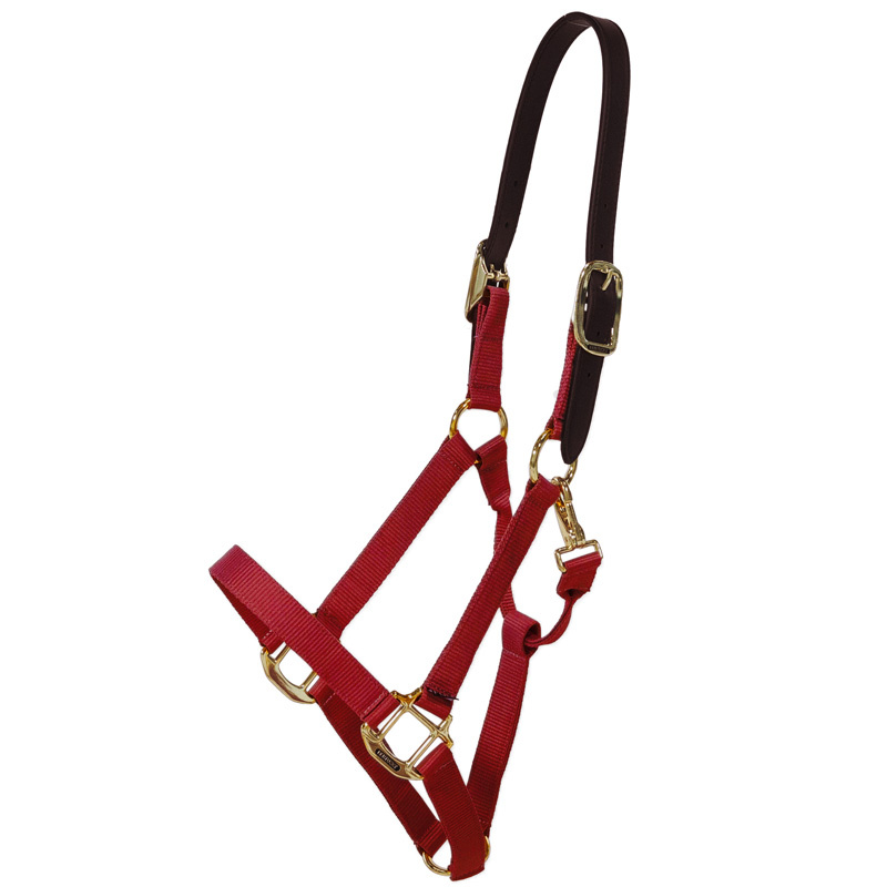 Halster Breakaway Bordeaux