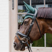 Oornetje Wellington Diamond Rope Groen Oornetje Wellington Diamond Rope Groen
