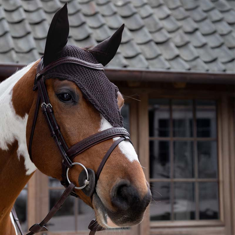 Lange Oornetje Loop Bruin