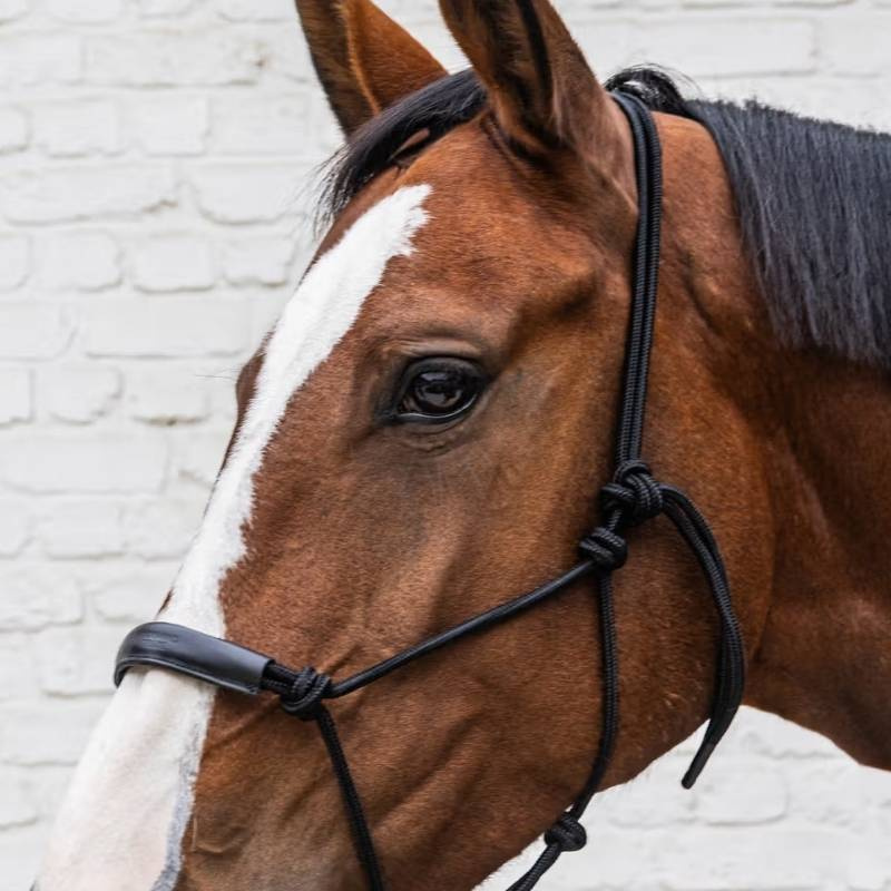 Touwhalster Grooming Deluxe Zwart