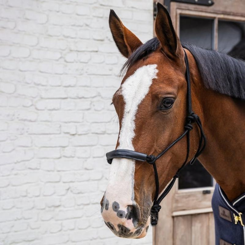 Touwhalster Grooming Deluxe Zwart