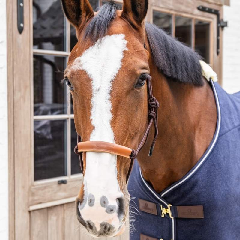 Touwhalster Grooming Deluxe Bruin