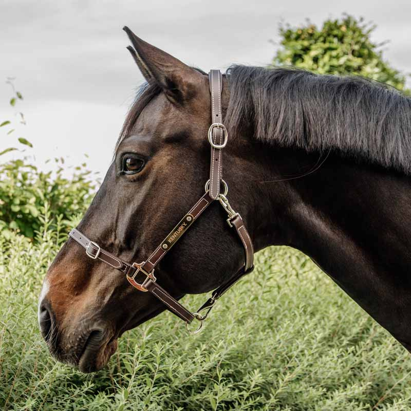 Leren halster Artificial Anatomic Flexible Bruin