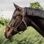 Leren halster Artificial Anatomic Flexible Bruin Leren halster Artificial Anatomic Flexible Bruin