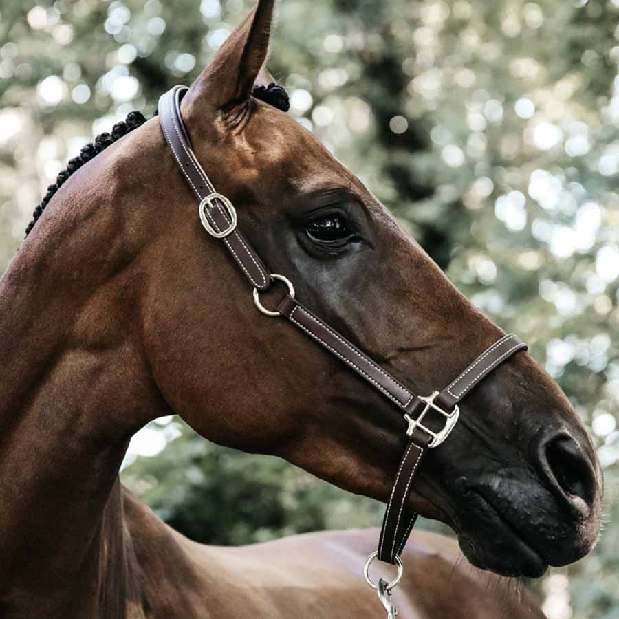 Leren halster Artificial Anatomic Flexible Bruin