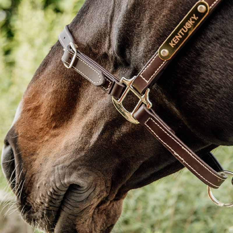 Leren halster Artificial Anatomic Flexible Bruin