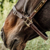 Leren halster Artificial Anatomic Flexible Bruin Leren halster Artificial Anatomic Flexible Bruin