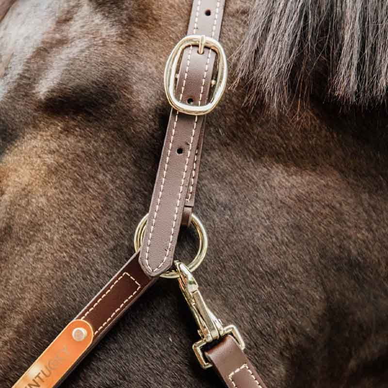 Leren halster Artificial Anatomic Flexible Bruin