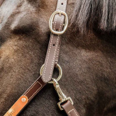 Leren halster Artificial Anatomic Flexible Bruin Leren halster Artificial Anatomic Flexible Bruin