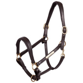 Leren Halster Padded Bruin/Brass Leren Halster Padded Bruin/Brass