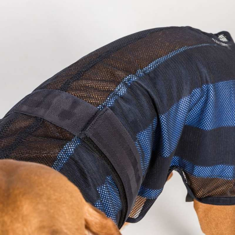 Koeljas Hond Cool on Track 2.0 Blauw