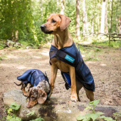 Koeljas Hond Cool on Track 2.0 Blauw Koeljas Hond Cool on Track 2.0 Blauw