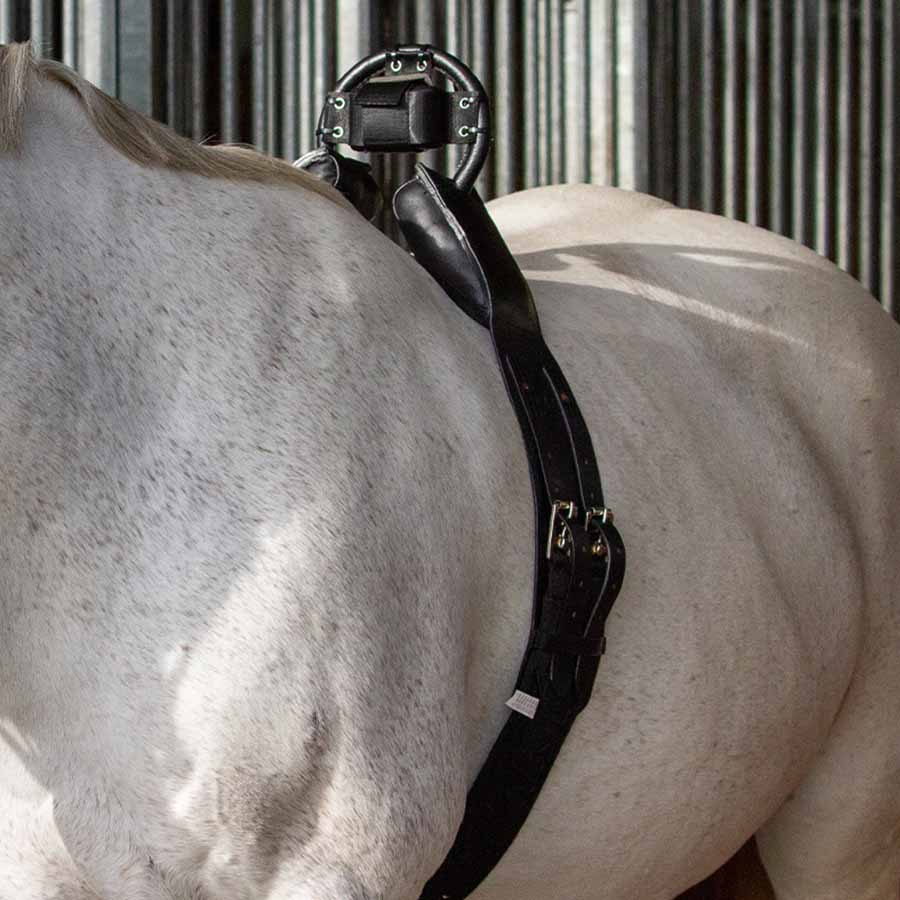 Singel voor Anti-Roll Singel Black