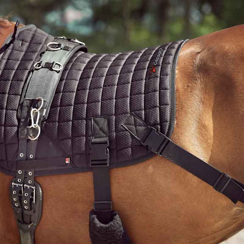 Dressuurzadeldekje Fir-Tech met Elastische Band Zwart