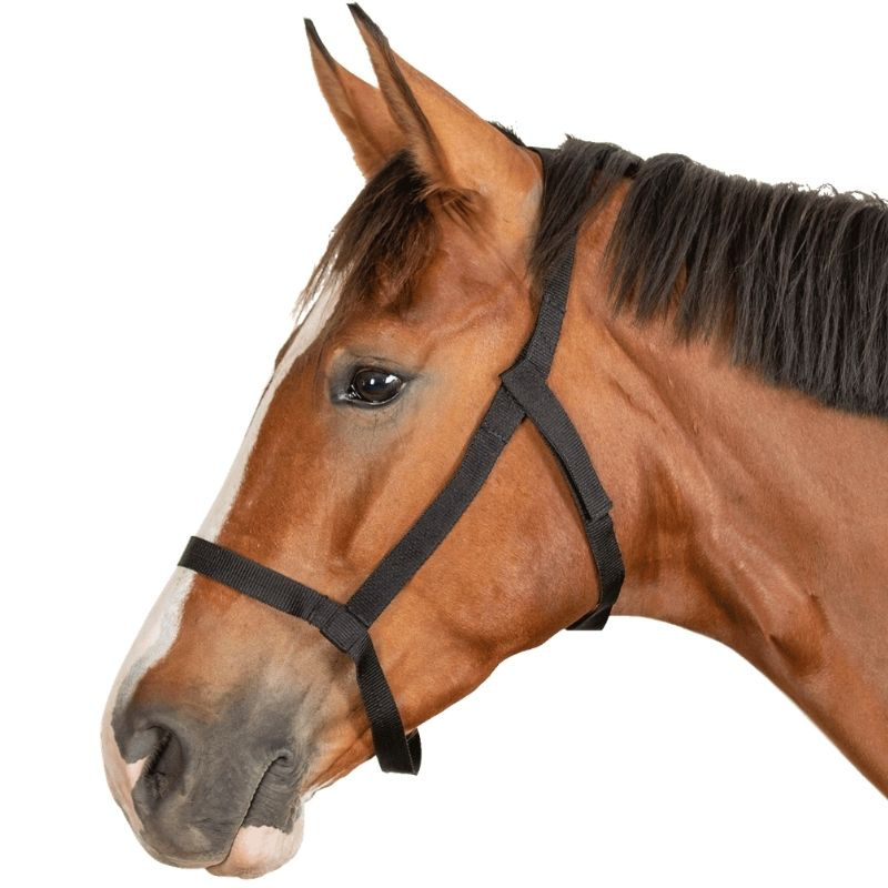 Weidehalster Grazing Zwart