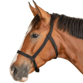 Weidehalster Grazing Zwart Weidehalster Grazing Zwart