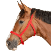 Weidehalster Grazing Rood Weidehalster Grazing Rood