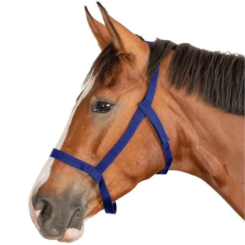 Weidehalster Grazing Marineblauw
