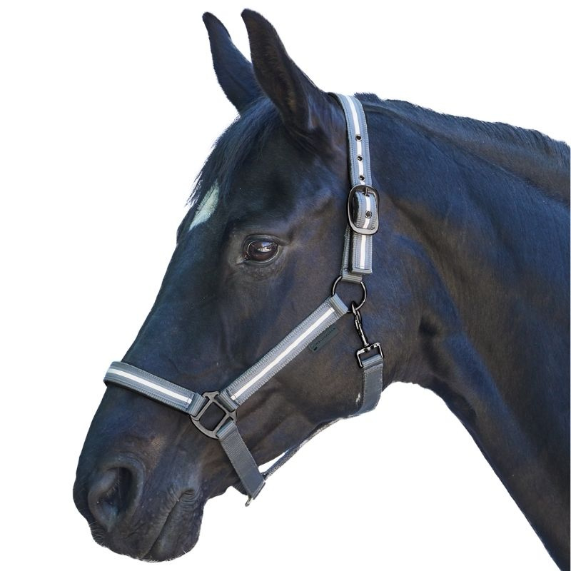 Halster Reflex Stripe Grijs
