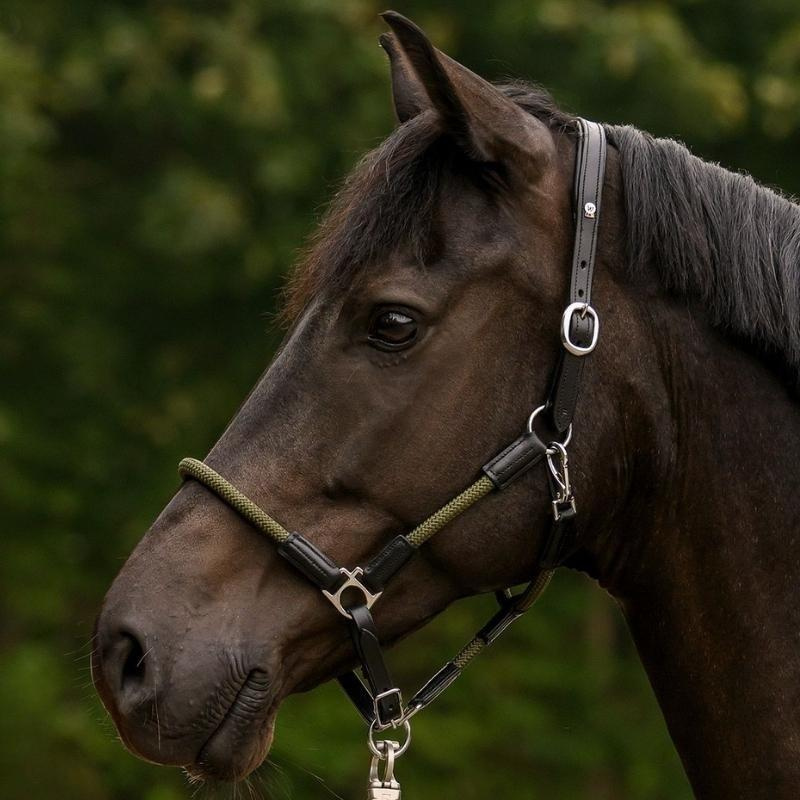 Leren halster Nevada X-Line Zwart/Olijf