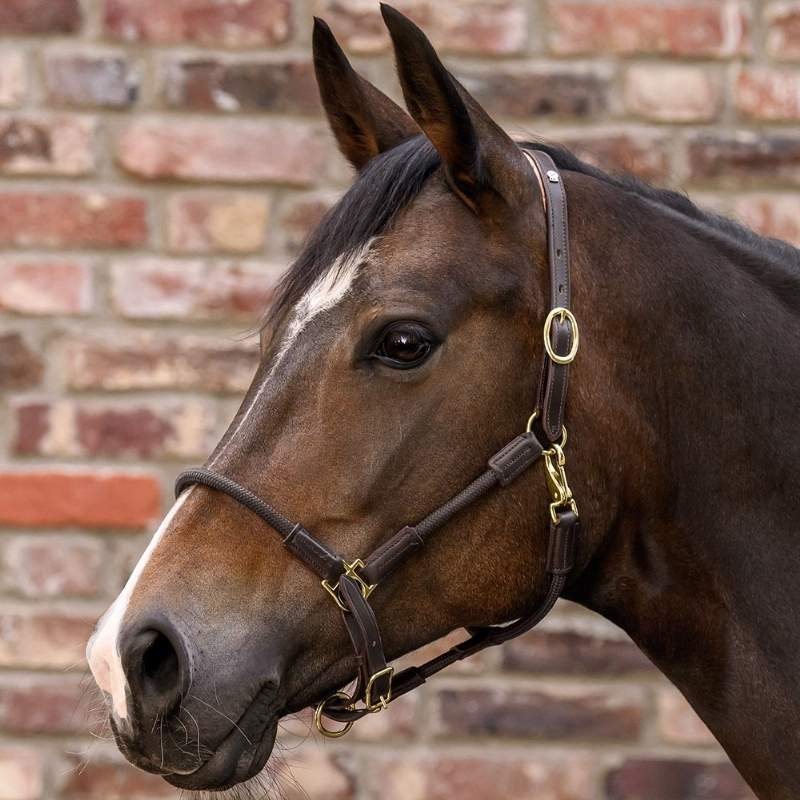 Leren halster Nevada X-Line Bruin/Bruin