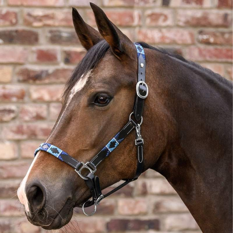 Leren halster Polo X-Line Zwart/Blauw