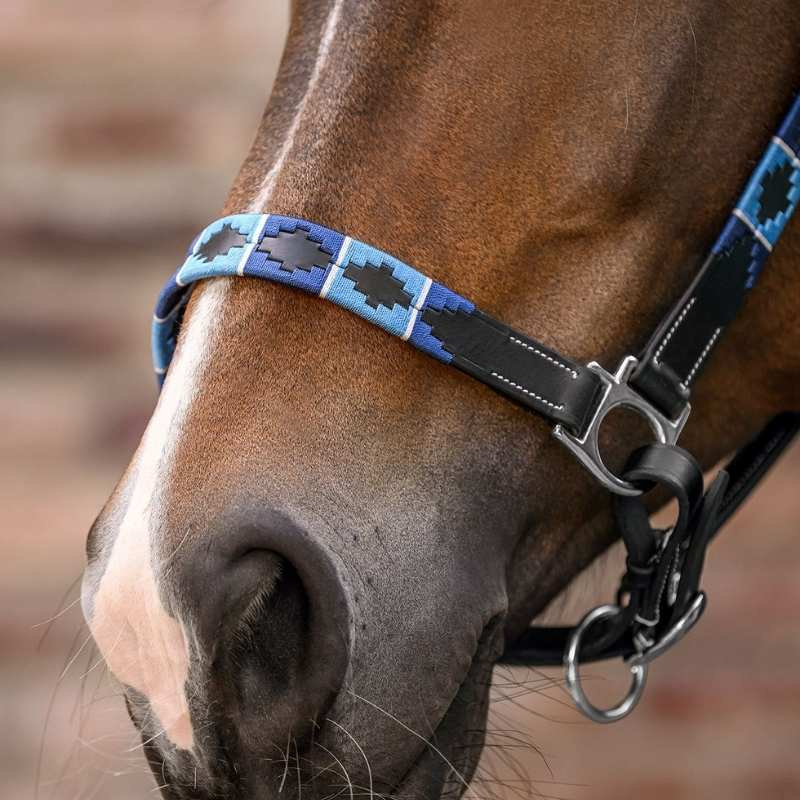 Leren halster Polo X-Line Zwart/Blauw