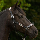 Leren halster Polo X-Line Zwart/Roze Leren halster Polo X-Line Zwart/Roze