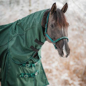 Regendeken Adapting 1200D 0g HG Groen Regendeken Adapting 1200D 0g HG Groen